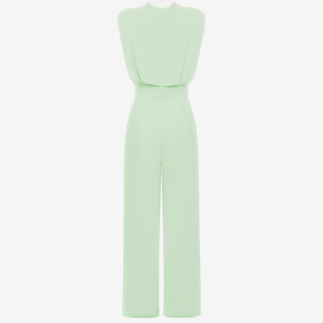 Ariia™ Defined Waist Jumpsuit