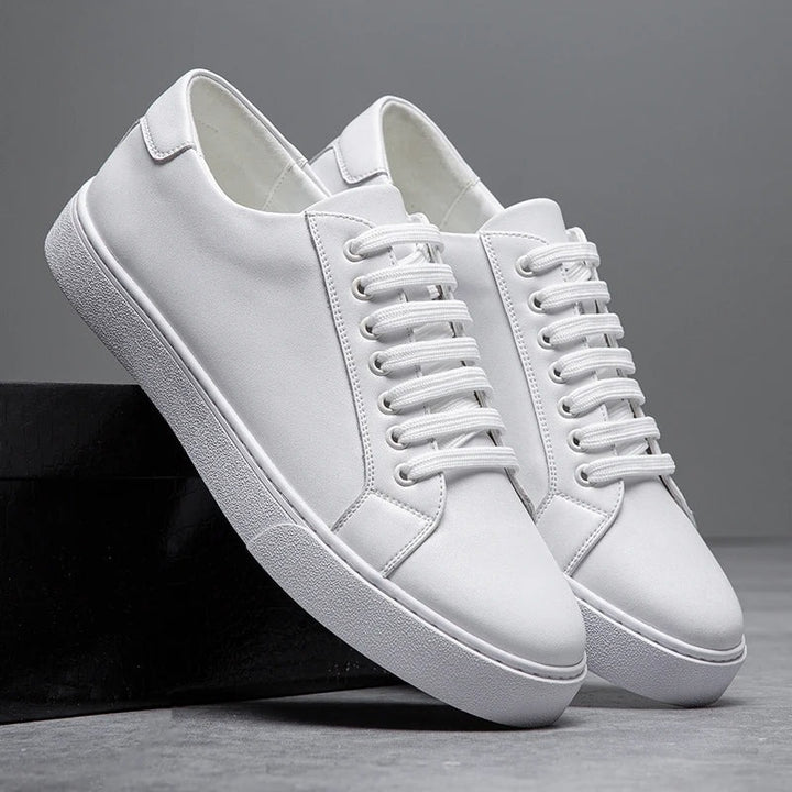 Baskets en cuir Ascend