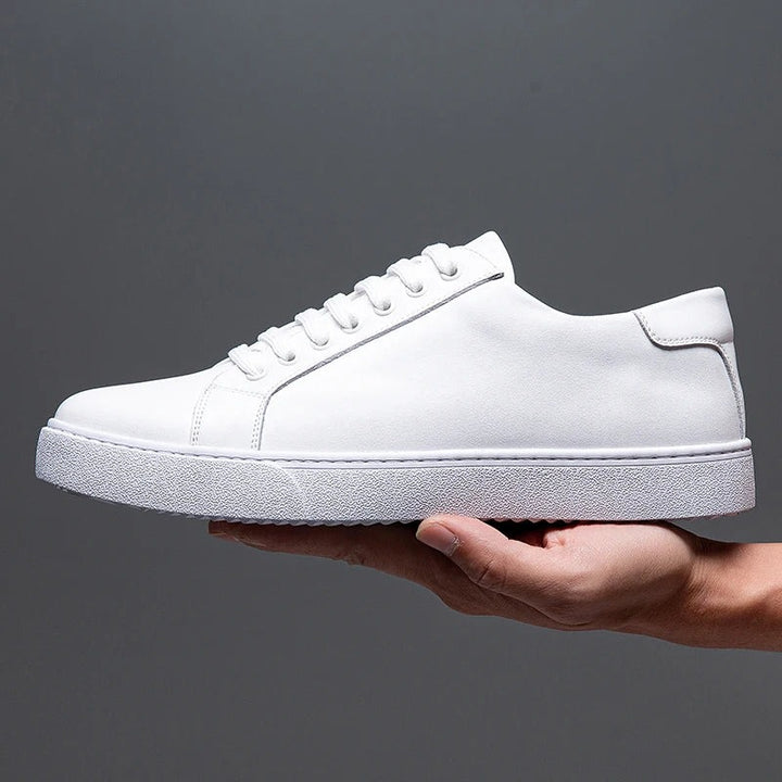 Baskets en cuir Ascend