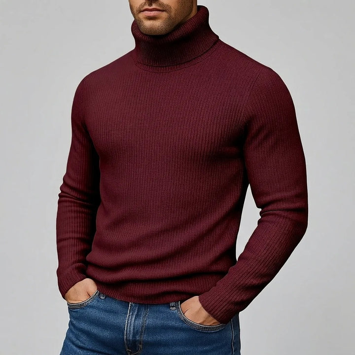 Pull homme à col roulé uni