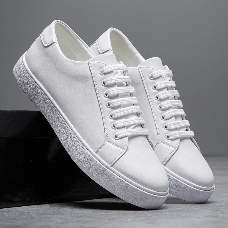 Baskets basses harrington