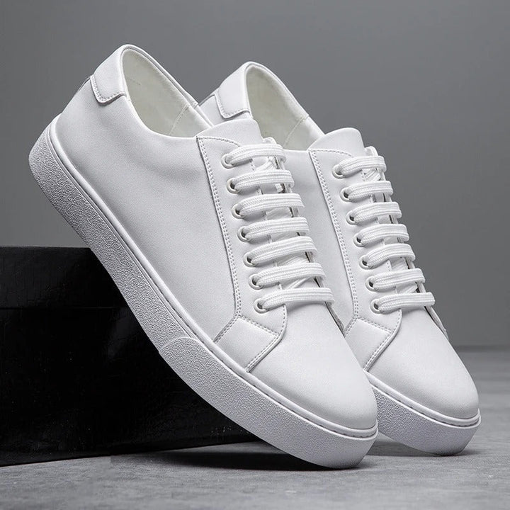 Baskets basses harrington