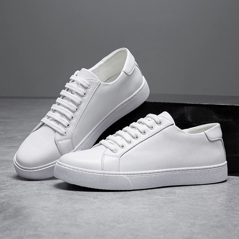 Baskets basses harrington