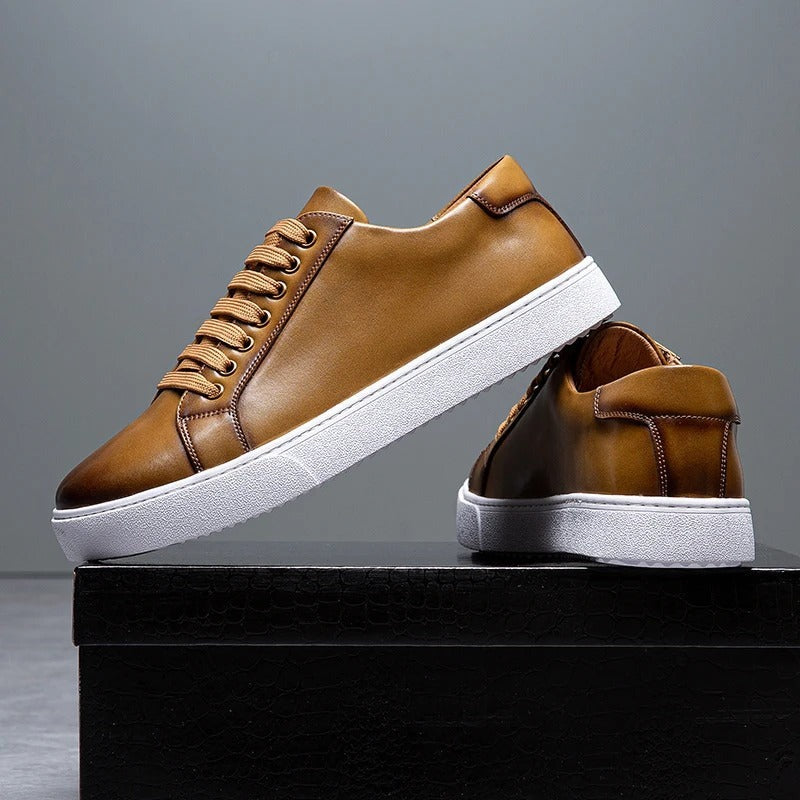 Baskets basses harrington