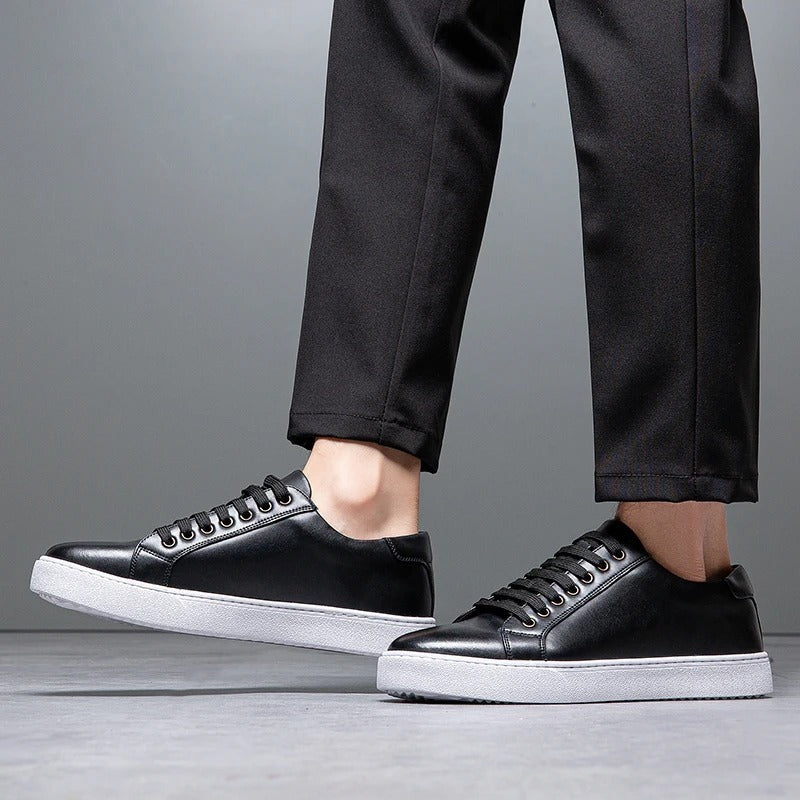 Baskets basses harrington
